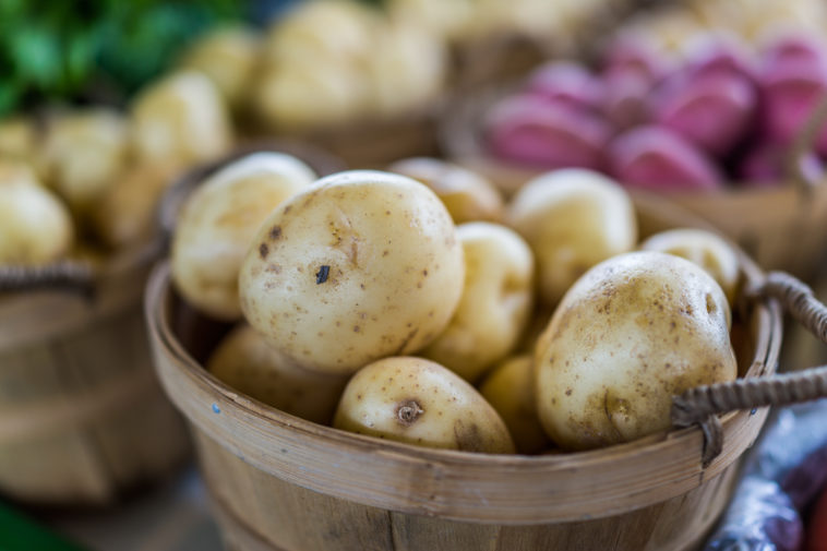 Which kind of potato is best for mashing?