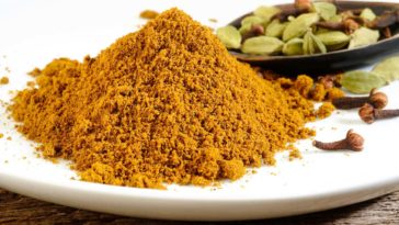 Which masala is best?