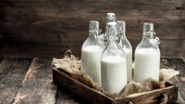 Which milk is best for weight loss?