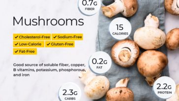 Which mushrooms have the lowest carbs?