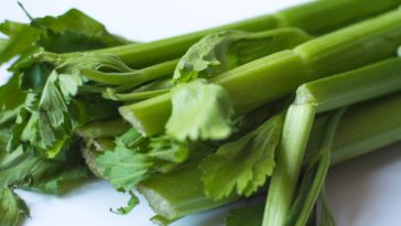 Which part of celery is the best?
