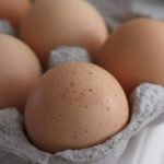 Which part of egg is good for baby?