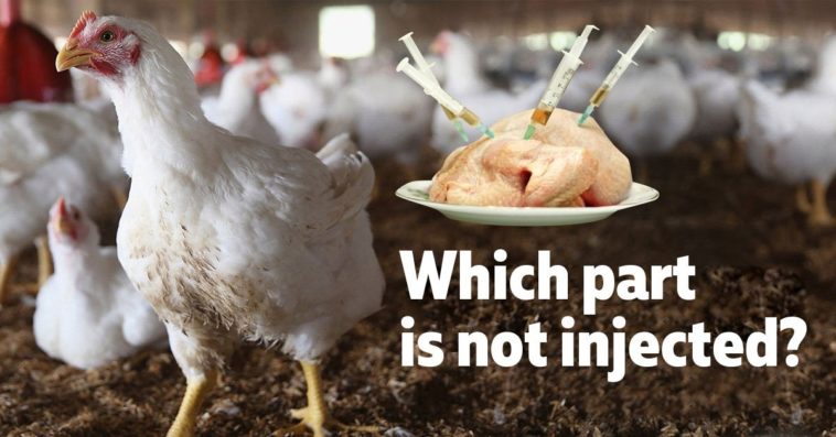 Which part of the chicken is healthiest?