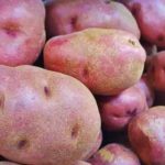 Which potatoes are healthiest?