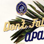 Which potatoes dont fall apart?