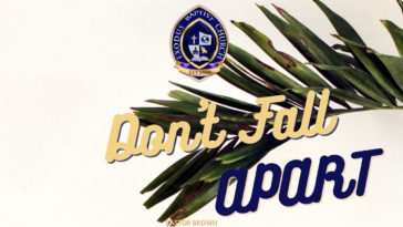 Which potatoes dont fall apart?