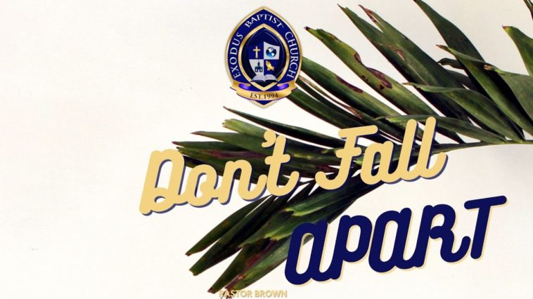 Which potatoes dont fall apart?