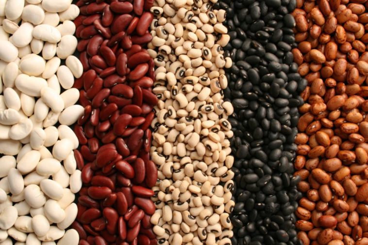 Which type of beans is healthiest?