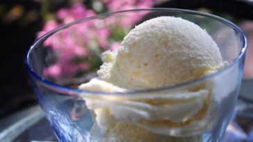 Which vanilla ice cream is the best?