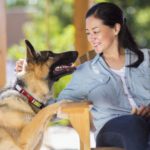 Who is the owner of the Chicago dogs?