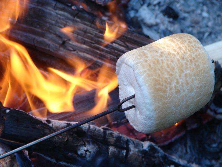 Who makes Campfire Marshmallows?