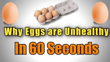 Why Are eggs bad for you?