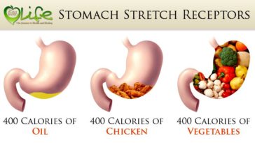 Why am I gaining weight on a plant-based diet?
