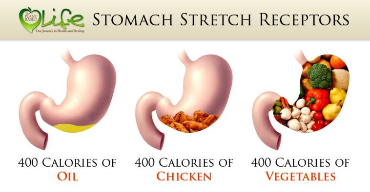 Why am I gaining weight on a plant-based diet?