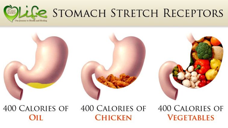 Why am I gaining weight on a plant-based diet?