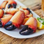 Why am I suddenly allergic to shellfish?