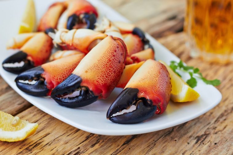 Why am I suddenly allergic to shellfish?