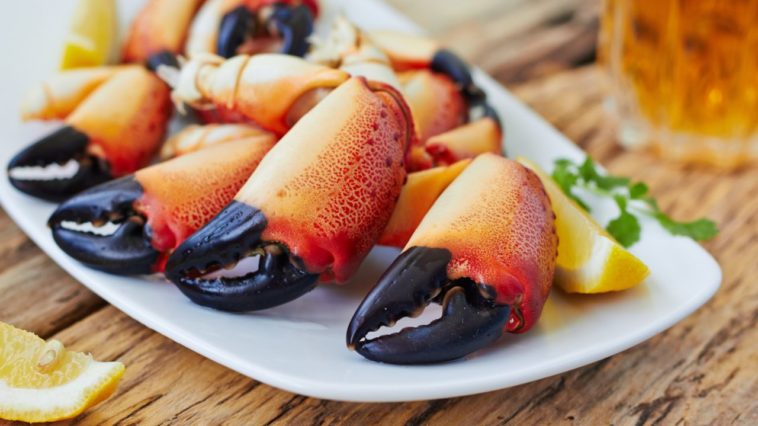 Why am I suddenly allergic to shellfish?