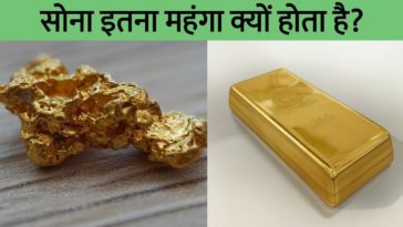 Why are cold cuts so expensive?