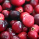 Why are cranberries not good for you?