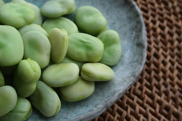 Why are fava beans bad for you?