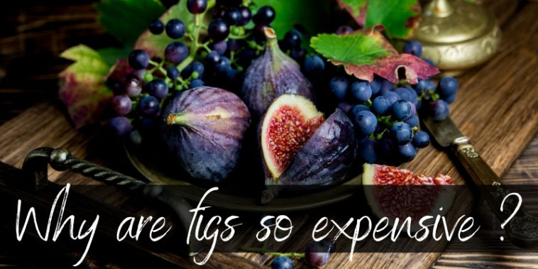 Why are figs expensive?