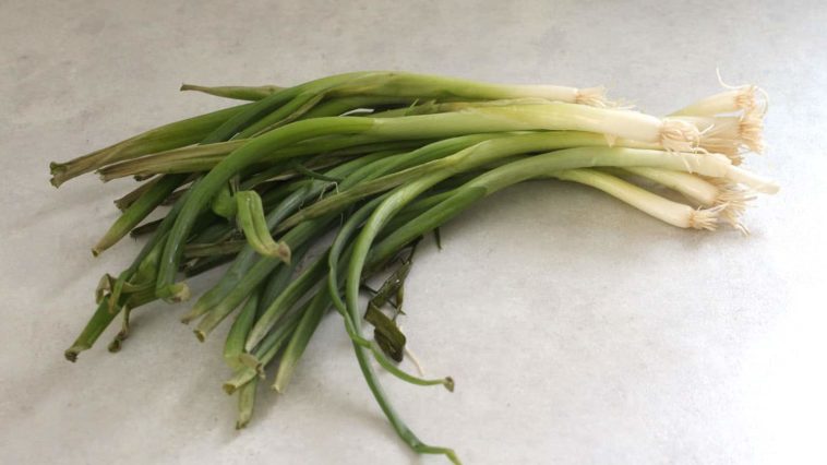 Why are my green onions slimy?