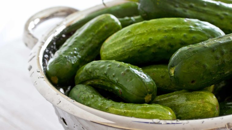 Why are my pickles not crunchy?
