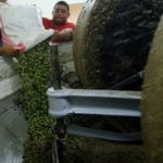 Why are olives so expensive?