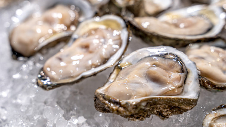 Why are oysters eaten on New Years?