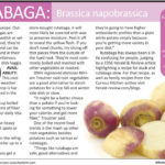 Why are rutabagas covered in wax?