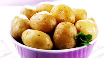 Why are sweet potatoes bad for dogs?