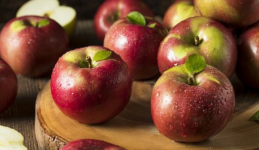 Why are there no McIntosh apples?