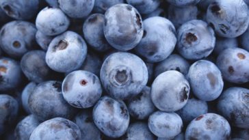 Why are there no natural blue foods?