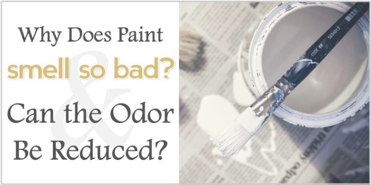 Why can I smell paint all the time?