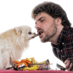 Why can dogs eat peanut butter but not nuts?