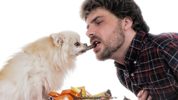 Why can dogs eat peanut butter but not nuts?