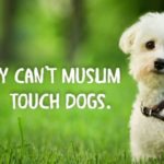 Why can't Muslims touch dogs?