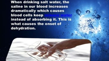 Why can't u drink salt water?