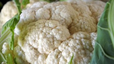 Why cauliflower is bad for you?