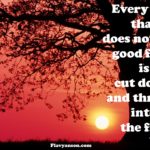 Why did Jesus cursed the fig tree?