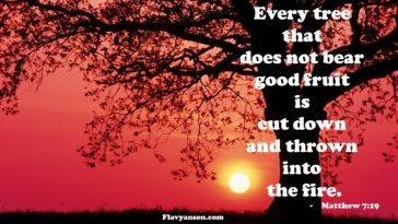 Why did Jesus cursed the fig tree?