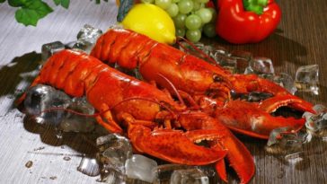 Why do lobsters turn white when cooked?