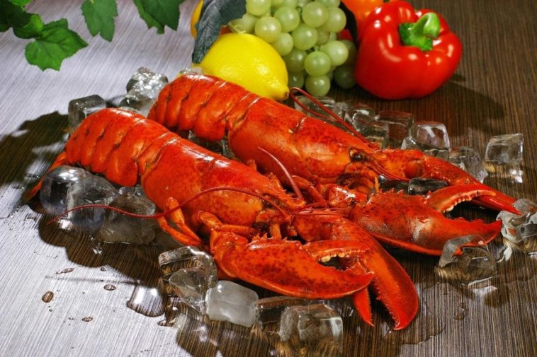 Why do lobsters turn white when cooked?