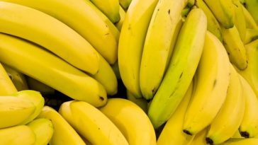 Why do some green bananas never ripen?
