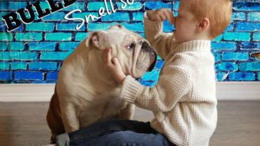 Why does Andouillette smell bad?