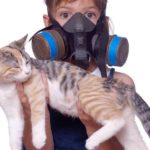 Why does Hershey's smell like poop?