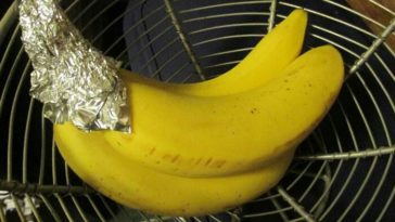Why does foil keep bananas fresh?