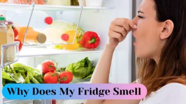Why does my fridge smell bad even after cleaning?