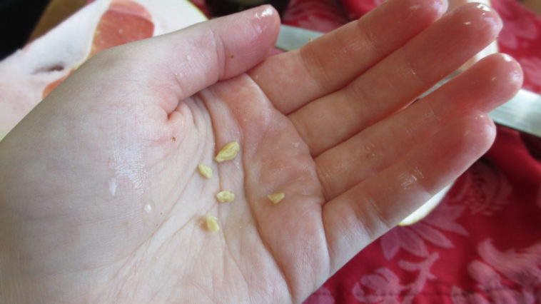 Why does my orange taste like lemon?